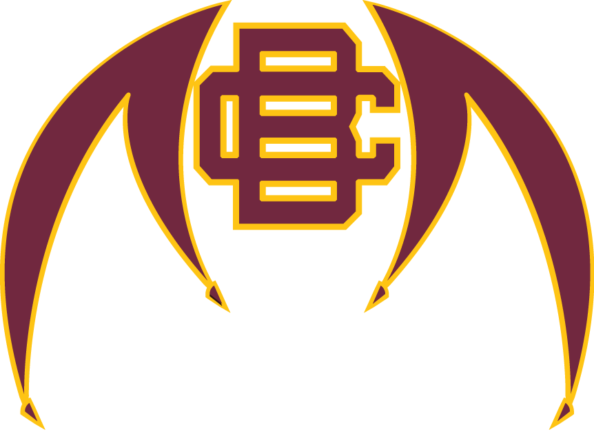 Bethune-Cookman Wildcats 2010-Pres Alternate Logo v2 diy DTF decal sticker